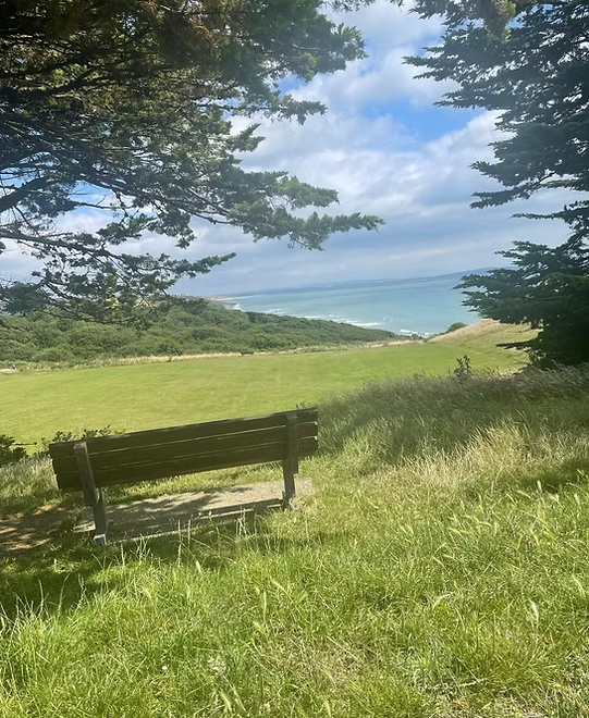Pet-Friendly Bed and Breakfast in Dorset